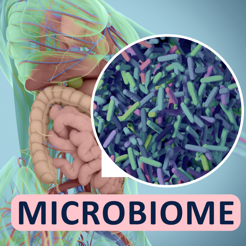 Microbes in our gut