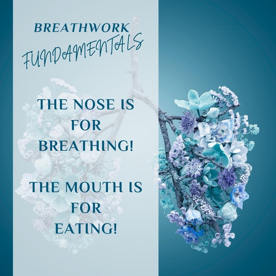 Nose Breathing Vs Mouth Breathing Savoia Self Care Nose Breathing Vs Mouth Breathing Savoia Self Care